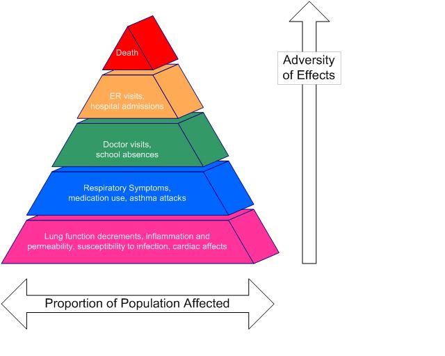 pyramid of health